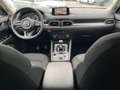 Mazda CX-5 2.0 EXCLUSIVE-LINE 2WD Exclusive-Line AHK+NAVI+KAM Rouge - thumbnail 14