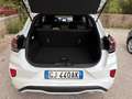 Ford Puma Puma 1.0 ecoboost h ST-Line s Weiß - thumbnail 9