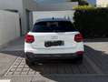 Audi Q2 Q2 35 1.5 tfsi Admired s-tronic Bianco - thumbnail 5