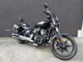 Indian Chief Noir - thumbnail 2