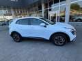 Kia Sportage Mild Hybrid 1.6 CRDi 136cv DCT BUSINESS AZIENDALE Bianco - thumbnail 4