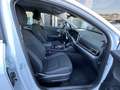 Kia Sportage Mild Hybrid 1.6 CRDi 136cv DCT BUSINESS AZIENDALE Bianco - thumbnail 10