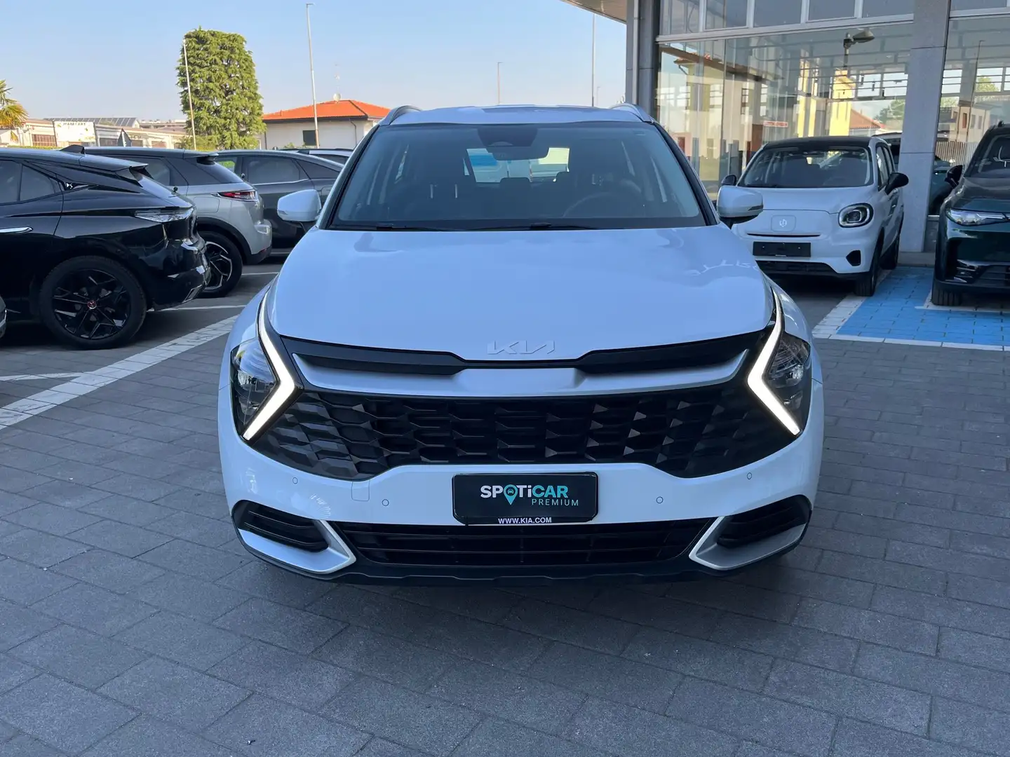 Kia Sportage Mild Hybrid 1.6 CRDi 136cv DCT BUSINESS AZIENDALE Bianco - 2