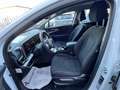 Kia Sportage Mild Hybrid 1.6 CRDi 136cv DCT BUSINESS AZIENDALE Bianco - thumbnail 8
