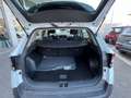Kia Sportage Mild Hybrid 1.6 CRDi 136cv DCT BUSINESS AZIENDALE Bianco - thumbnail 7