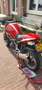 Ducati Monster 900 Rood - thumbnail 6
