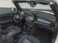 MINI Cooper Cabrio Mini 1.5 Chili - Navi XL - Bluetooth - Stoelverwar Wit - thumbnail 3