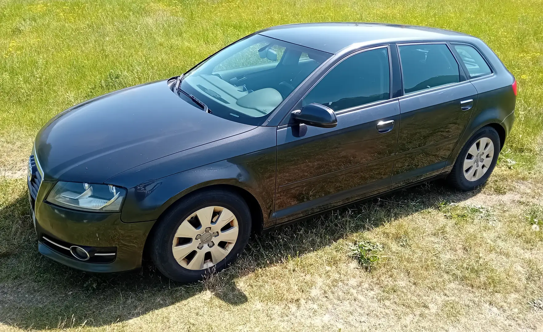 Audi A3 A3 Sportback 1.6 TDI 105 DPF Ambiente Noir - 1