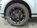 Land Rover Range Rover Evoque D200 Dynamic SE Pano Winter Komfort Black Pack Gris - thumbnail 9