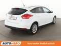 Ford Focus 1.6 Ti-VCT Titanium Aut.*TEMPO*PDC*SHZ*KLIMA* Blanc - thumbnail 6