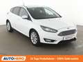 Ford Focus 1.6 Ti-VCT Titanium Aut.*TEMPO*PDC*SHZ*KLIMA* Weiß - thumbnail 8