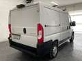 Citroen Jumper 2.2 BlueHDi 140 CV L1-H1 Furgone-UNIPRO Blanc - thumbnail 3