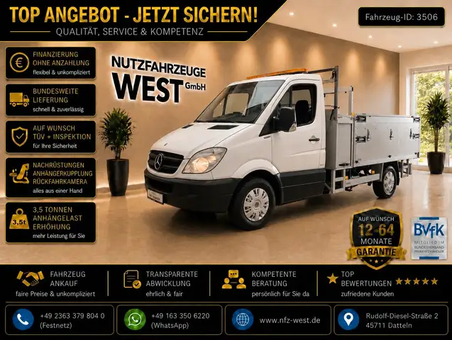 Mercedes-Benz Sprinter 316 Benzin/Gaß*Kipper+Kran*Garantie*