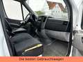 Mercedes-Benz Sprinter II Kasten /313/CDI MAXI-TÜV NEU-WENIGKM Weiß - thumbnail 13