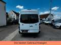 Mercedes-Benz Sprinter II Kasten /313/CDI MAXI-TÜV NEU-WENIGKM Weiß - thumbnail 6