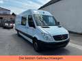 Mercedes-Benz Sprinter II Kasten /313/CDI MAXI-TÜV NEU-WENIGKM Weiß - thumbnail 3