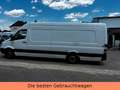 Mercedes-Benz Sprinter II Kasten /313/CDI MAXI-TÜV NEU-WENIGKM Weiß - thumbnail 8