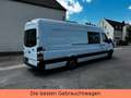 Mercedes-Benz Sprinter II Kasten /313/CDI MAXI-TÜV NEU-WENIGKM Weiß - thumbnail 5