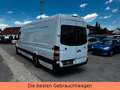 Mercedes-Benz Sprinter II Kasten /313/CDI MAXI-TÜV NEU-WENIGKM Weiß - thumbnail 7