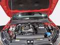 Skoda Fabia 1.0 tsi evo monte carlo 110cv Grigio - thumbnail 10