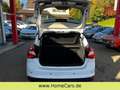 Ford Focus Lim. Ambiente - TÜV 11/2026 Blanc - thumbnail 10