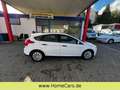 Ford Focus Lim. Ambiente - TÜV 11/2026 Blanc - thumbnail 13