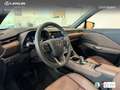 Lexus LBX Elegant Rojo - thumbnail 20