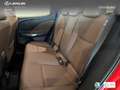 Lexus LBX Elegant Rojo - thumbnail 16