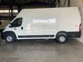 Citroen Jumper BlueHDi 103KW (140CV) Furg.35 Heavy L4H3 Blanco - thumbnail 10
