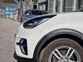 Kia Niro e-Niro Platin. verfügbar ab 12.06 (Vorverkauf) Weiß - thumbnail 10