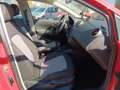 SEAT Ibiza Reference Klima Sitzheizung NSW Alu Klim Rouge - thumbnail 6