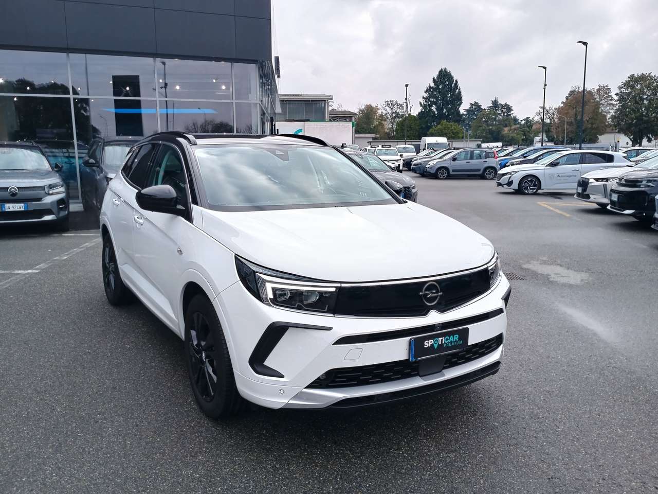 Opel Grandland PHEV 1.6 Plug-In Hybrid 225cv GS LINE USATO