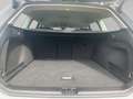 Volkswagen Passat Variant 2.0 TDI DSG Business MATRIX LED+NAVI+NAVI PRO+KAM Grau - thumbnail 13