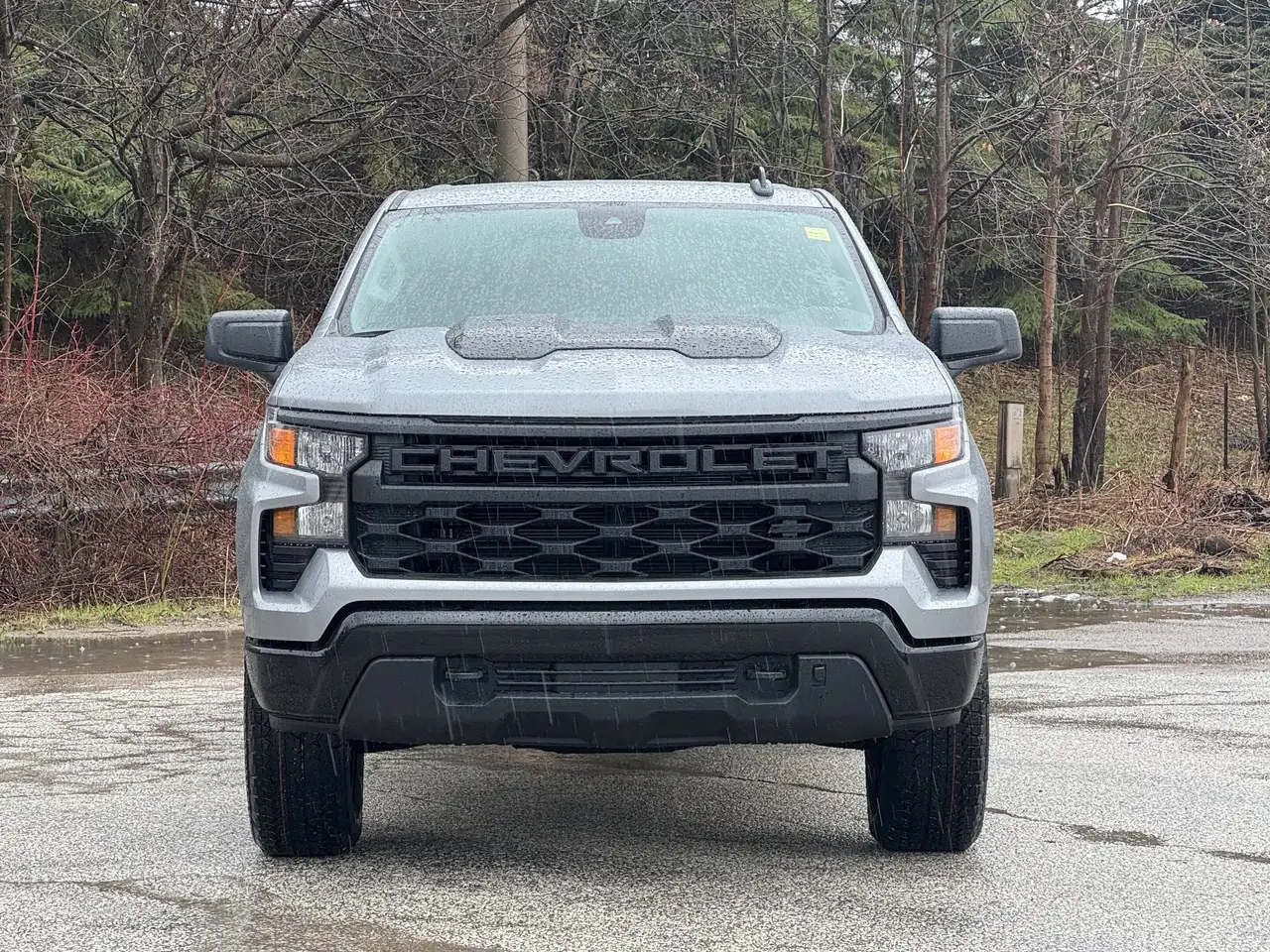 Chevrolet Silverado 1500 снимка Chevrolet Silverado 1500
