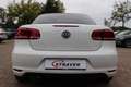 Volkswagen Eos 2.0 TSI Highline |Exclusive |Standkachel |18" Blanc - thumbnail 20