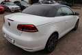 Volkswagen Eos 2.0 TSI Highline |Exclusive |Standkachel |18" Blanc - thumbnail 21