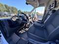 Fiat Ducato Ducato 35 2.2 Mjt 160CV L2 H2 Furgone Bianco - thumbnail 4