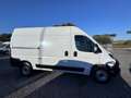 Fiat Ducato Ducato 35 2.2 Mjt 160CV L2 H2 Furgone Bianco - thumbnail 3