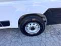 Fiat Ducato Ducato 35 2.2 Mjt 160CV L2 H2 Furgone Bianco - thumbnail 14