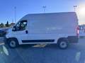 Fiat Ducato Ducato 35 2.2 Mjt 160CV L2 H2 Furgone Bianco - thumbnail 2