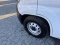 Fiat Ducato Ducato 35 2.2 Mjt 160CV L2 H2 Furgone Bianco - thumbnail 16