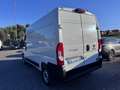 Fiat Ducato Ducato 35 2.2 Mjt 160CV L2 H2 Furgone Bianco - thumbnail 7