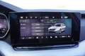 Skoda Octavia 1,5TSI DSG aAHK/Matrix/ACC/Kamera/el.Klappe      * Grau - thumbnail 40