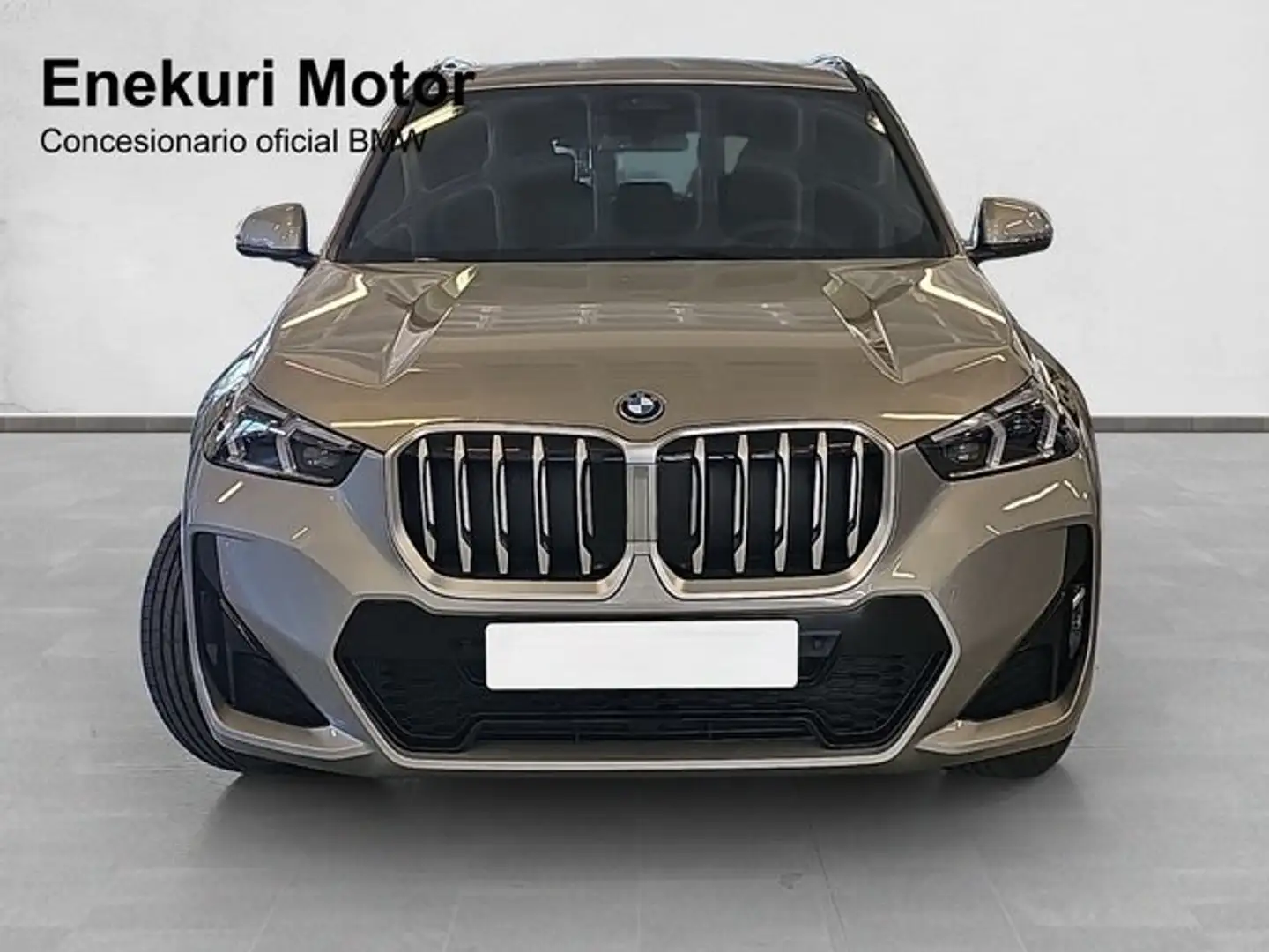 BMW X1 xDrive25eA Gris - 2