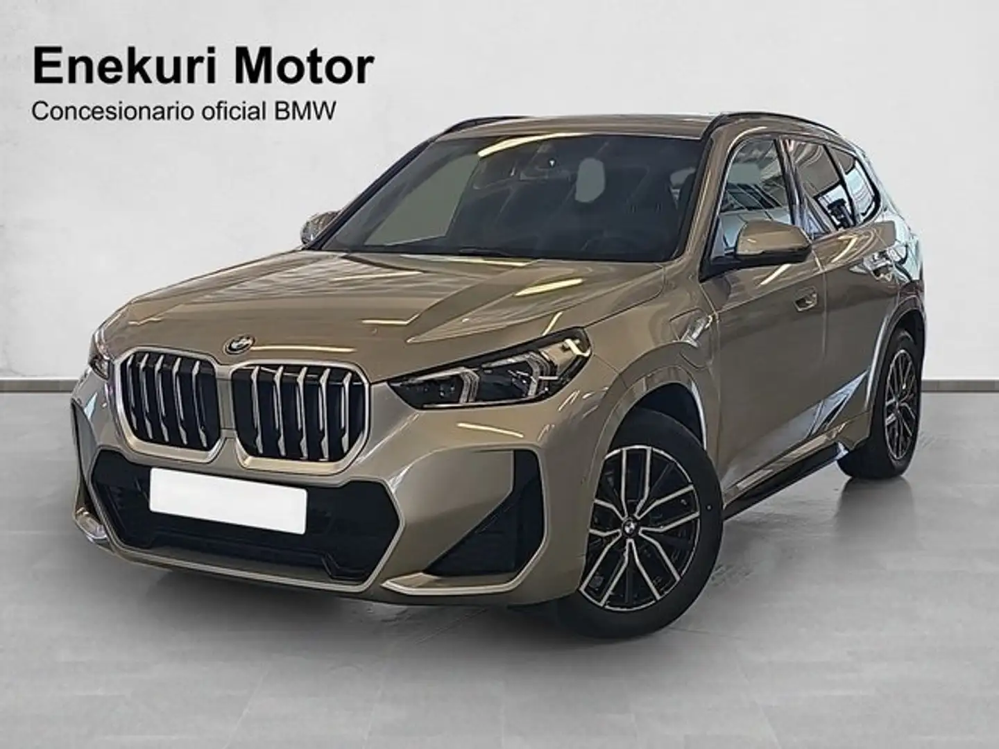 BMW X1 xDrive25eA Gris - 1