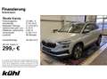 Skoda Karoq 1.0 TSI Tour LED/Kamera Grau - thumbnail 1