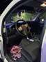 Nissan Navara 2.5 dci d.cab LE - thumbnail 11