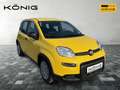 Fiat Panda MY24 1.0 Klima PDC Citypaket Jaune - thumbnail 2