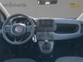 Fiat Panda MY24 1.0 Klima PDC Citypaket Jaune - thumbnail 9