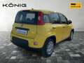 Fiat Panda MY24 1.0 Klima PDC Citypaket Jaune - thumbnail 3